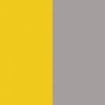 Yellow/Grey